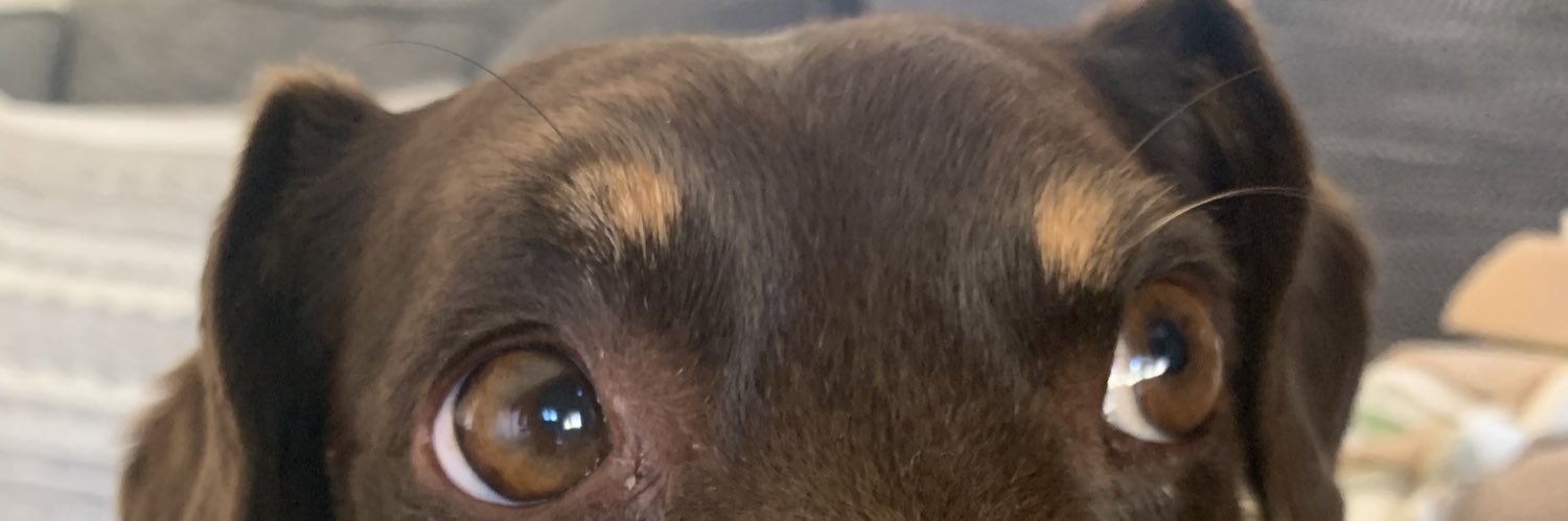 Mark_Garfield's profile banner image