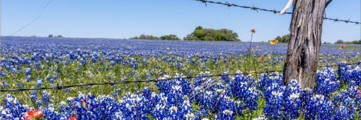 tx2ok31's profile banner image