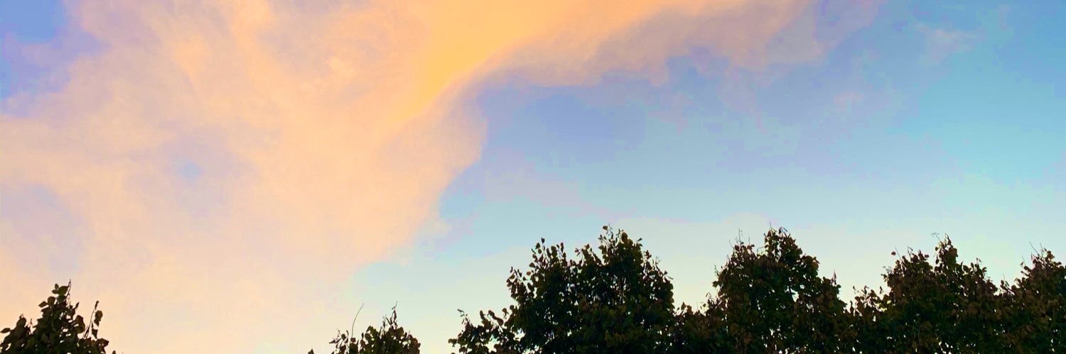 Lecotmarie's profile banner image
