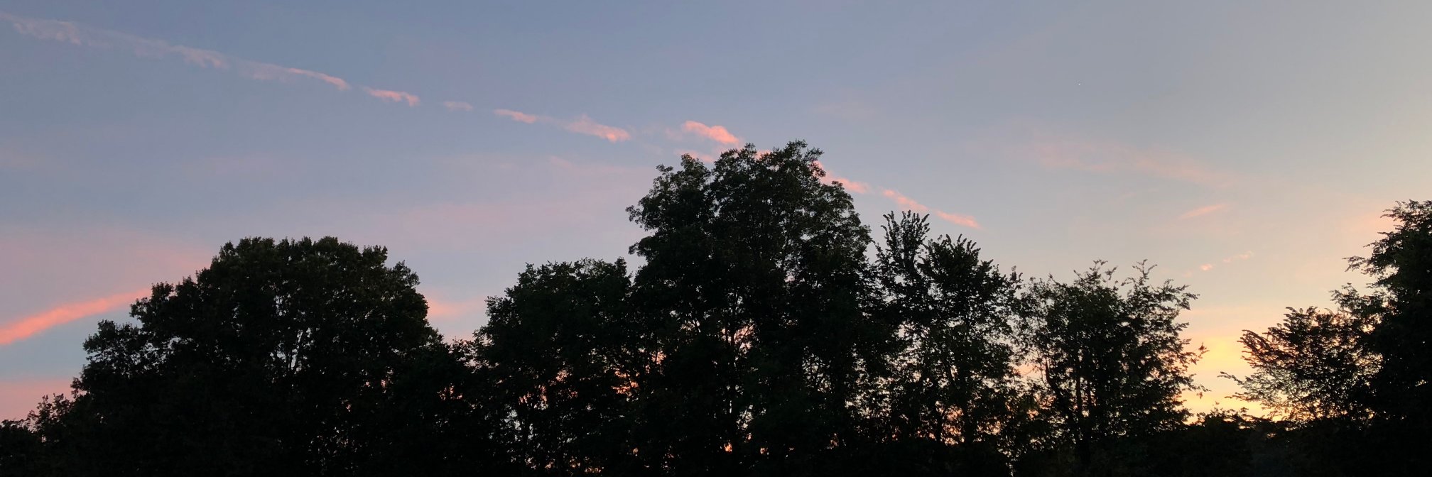 aroth_15's profile banner image