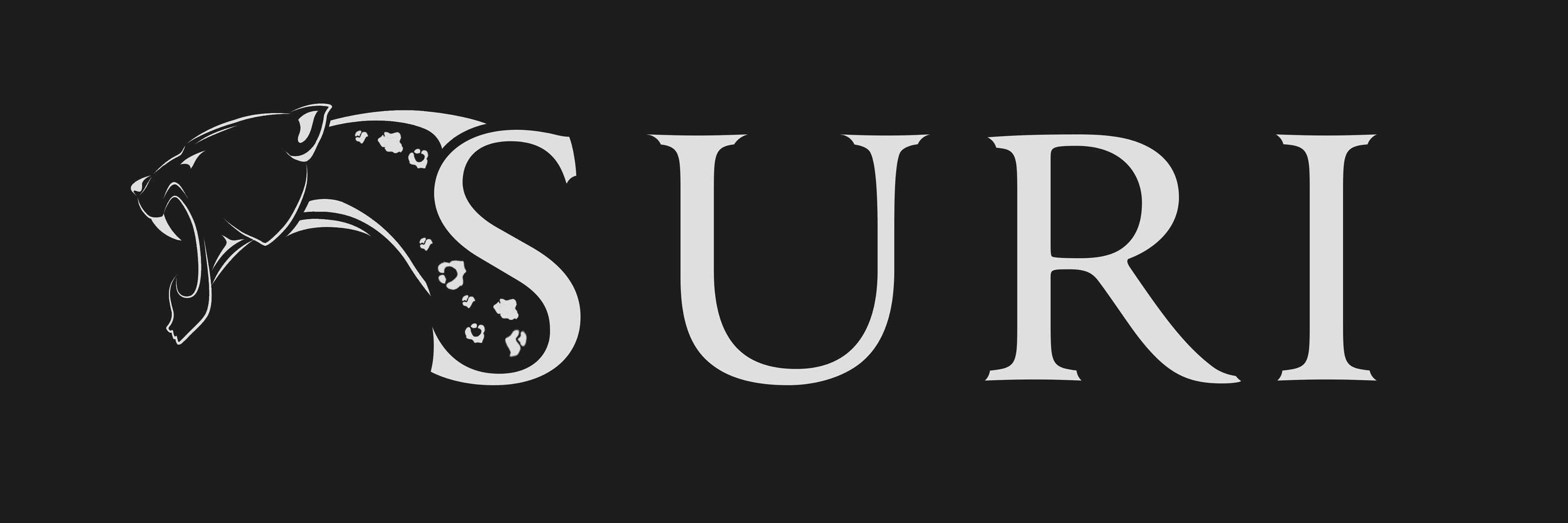 hunsuri's profile banner image