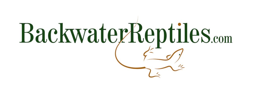 Backwater Reptiles banner