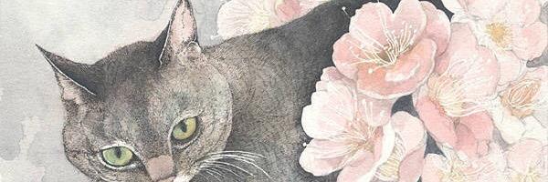 yumi_13's profile banner image