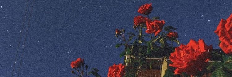mamanetero's profile banner image