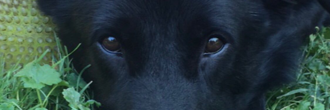 Cool__Beanz's profile banner image