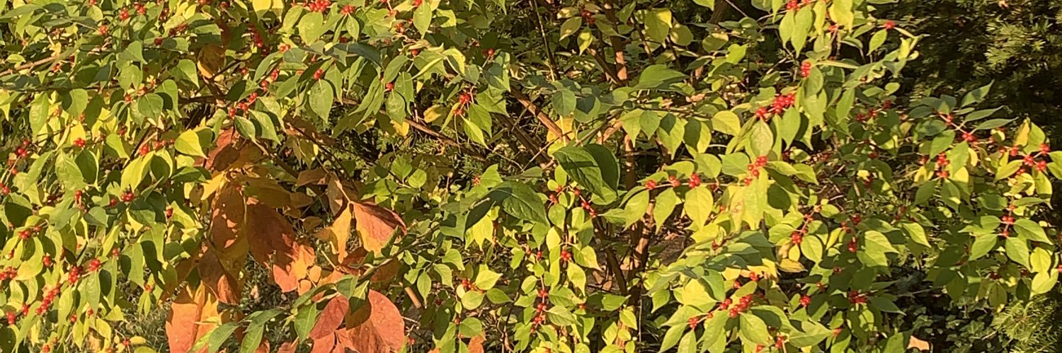 BeauBeauBo02's profile banner image