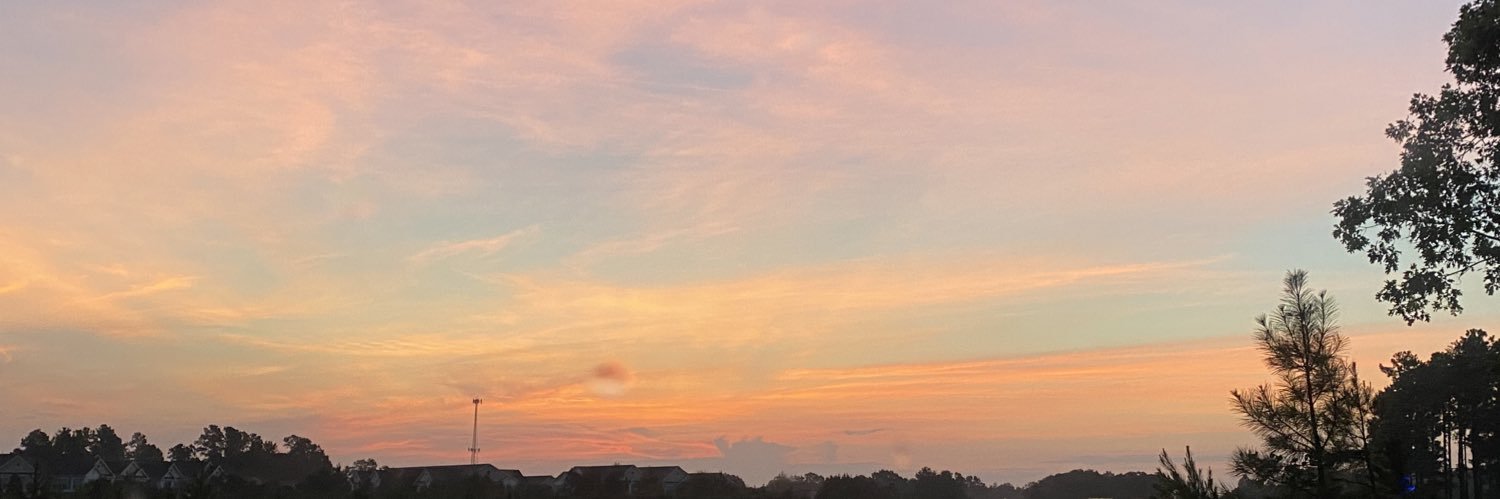 mayaalexis_'s profile banner image
