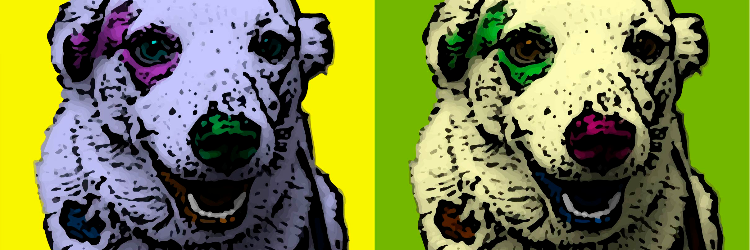 ShannonSamson's profile banner image