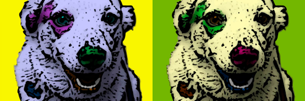 ShannonSamson Profile Banner