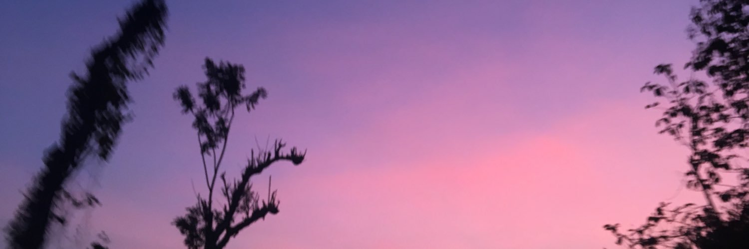 felisidew's profile banner image