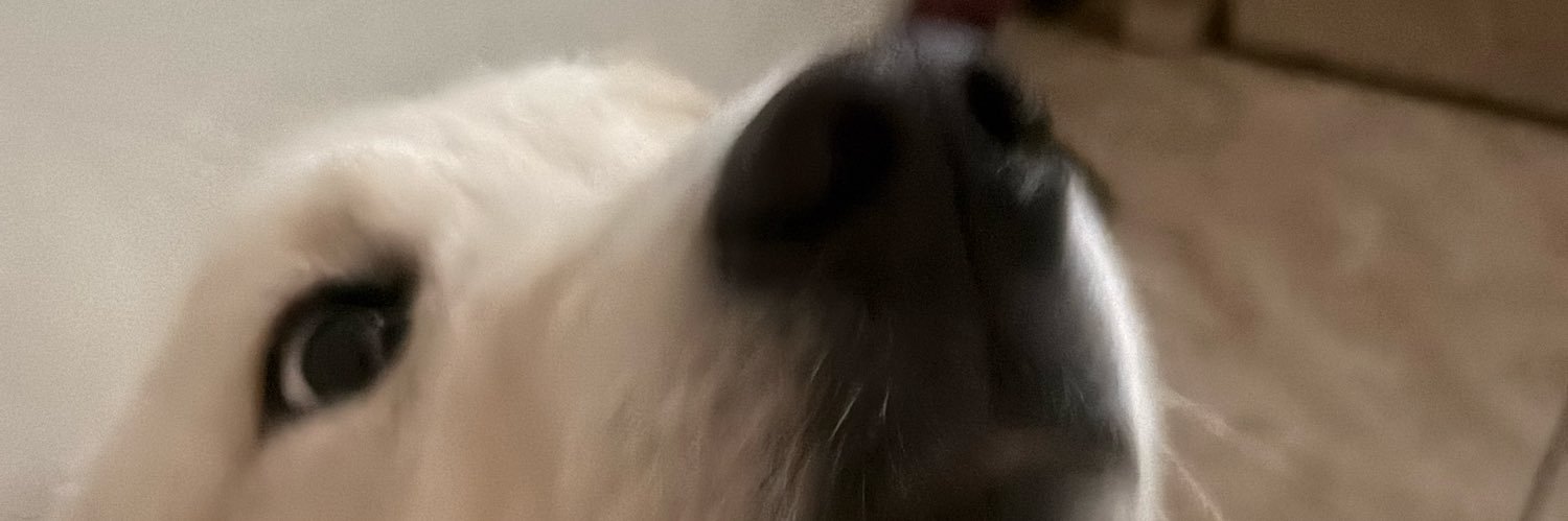 Drew4EV's profile banner image
