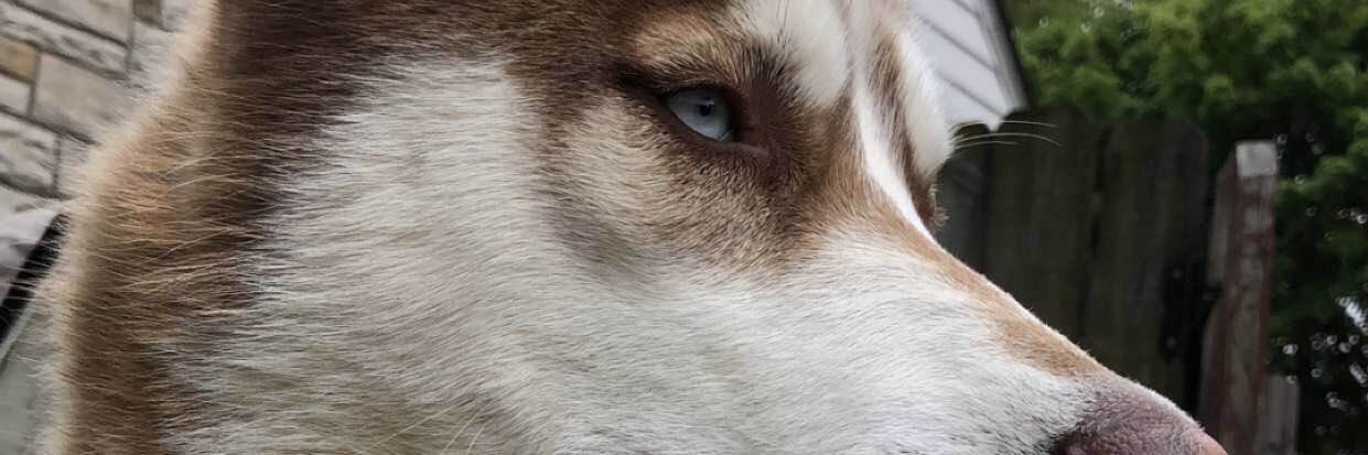DerekAwonohopay's profile banner image