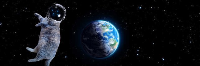 a_greenburger's profile banner image