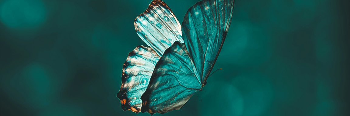 tinagreene0807's profile banner image