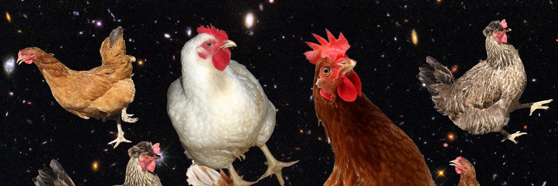 Galactic Chicken banner