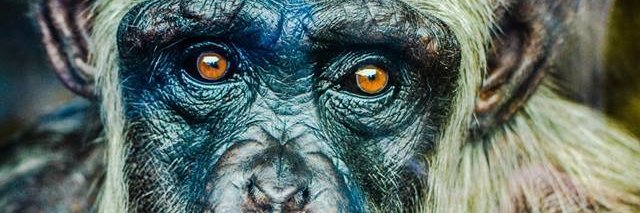 annabelflo's profile banner image