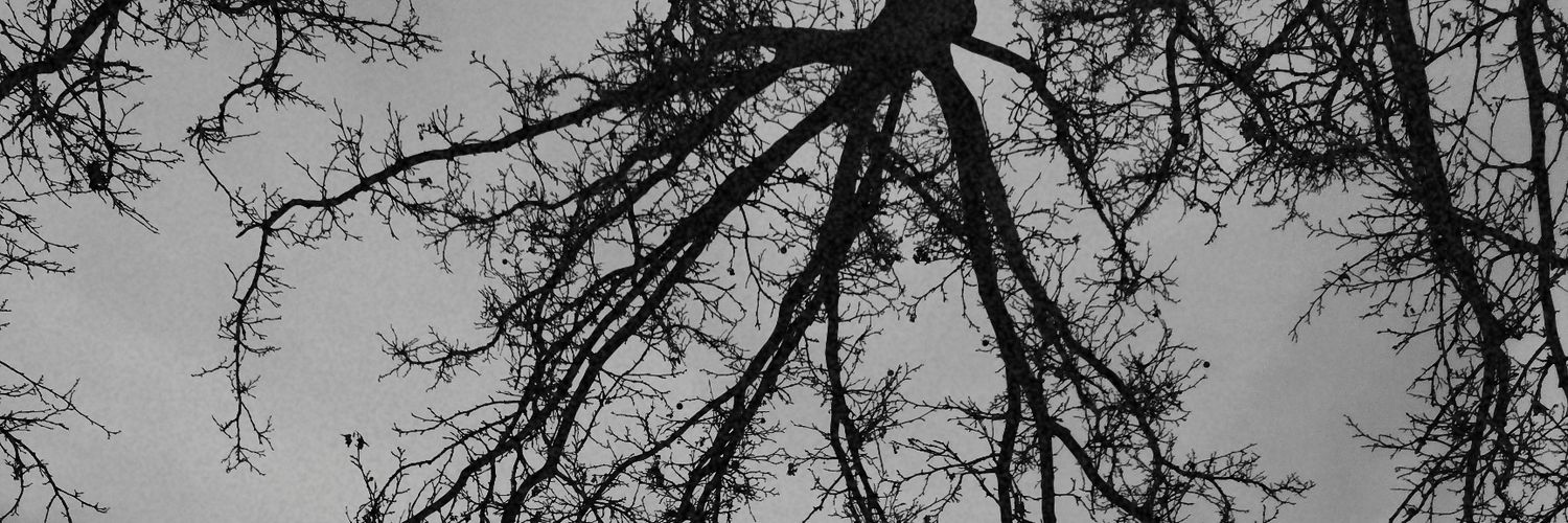 Phoenixr_0's profile banner image