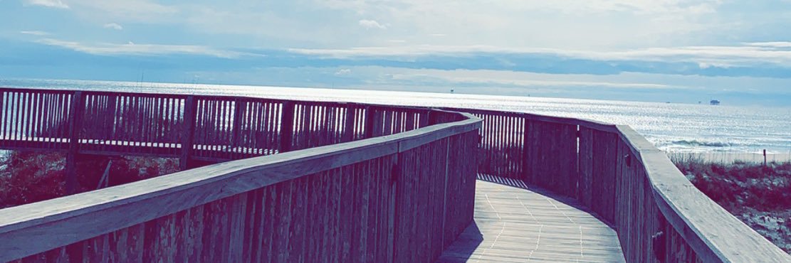 BriiNWilliams's profile banner image
