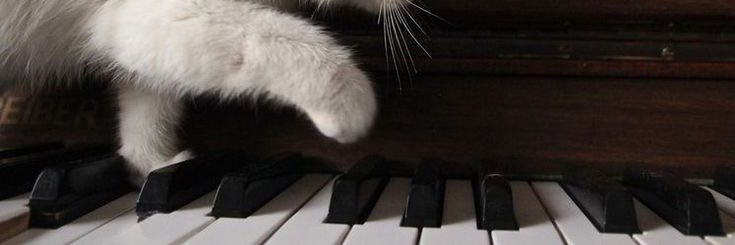ִֶָ banner