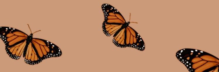 magui1915's profile banner image