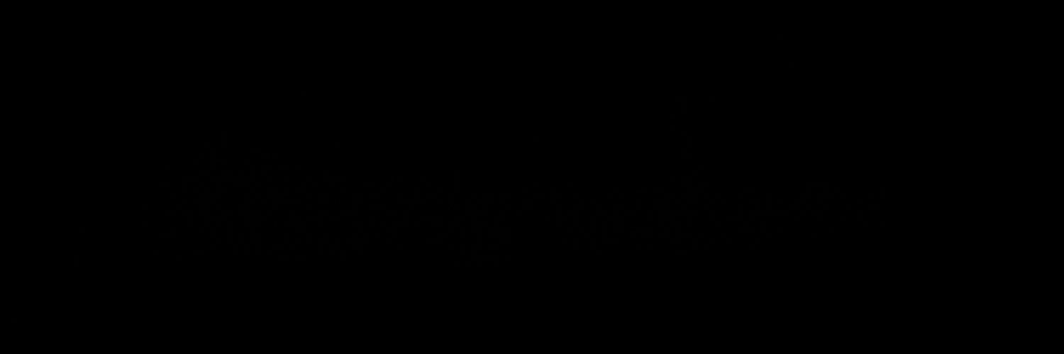 LeiningerTyler's profile banner image