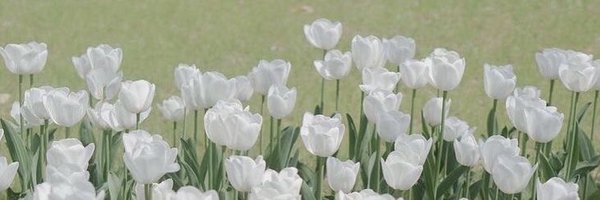 raniismee Profile Banner