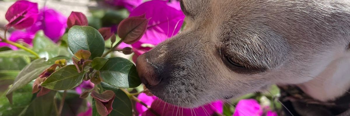natagg's profile banner image