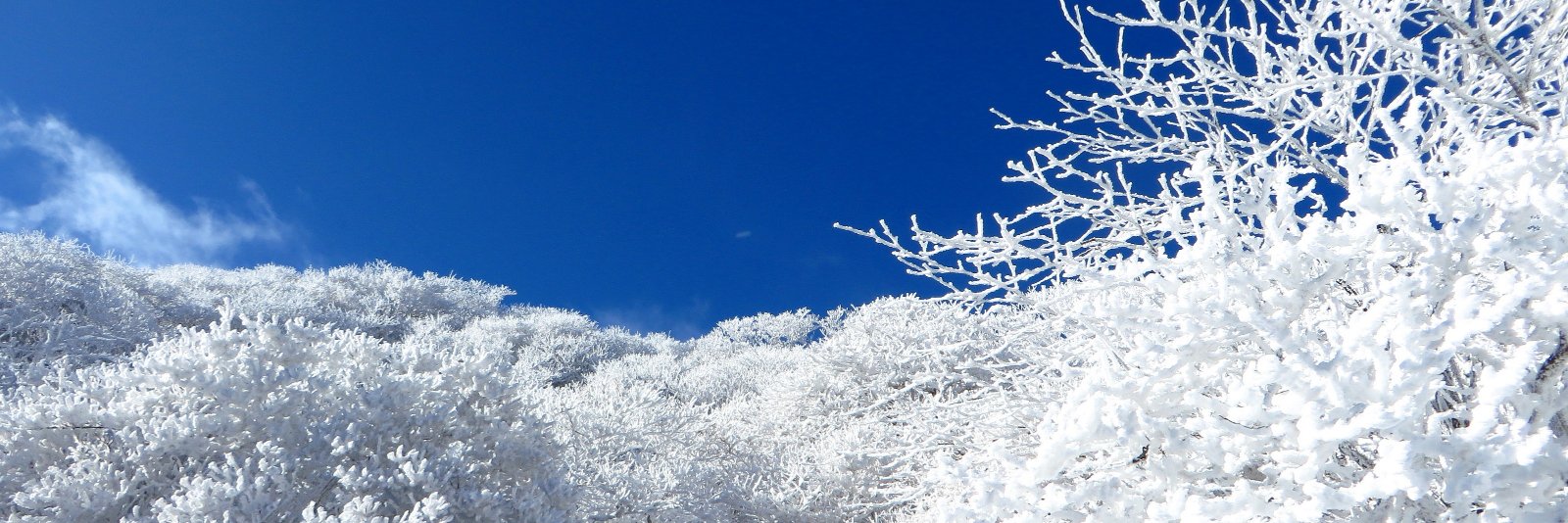 yokaphoto's profile banner image