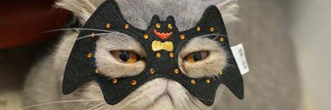 lianamhr's profile banner image