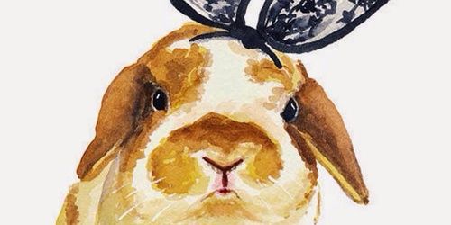 Estherdmnk's profile banner image