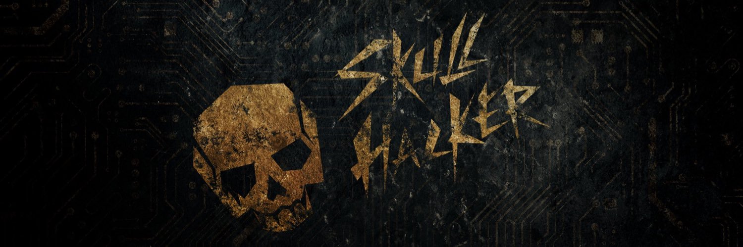TheSkullHacker's profile banner image