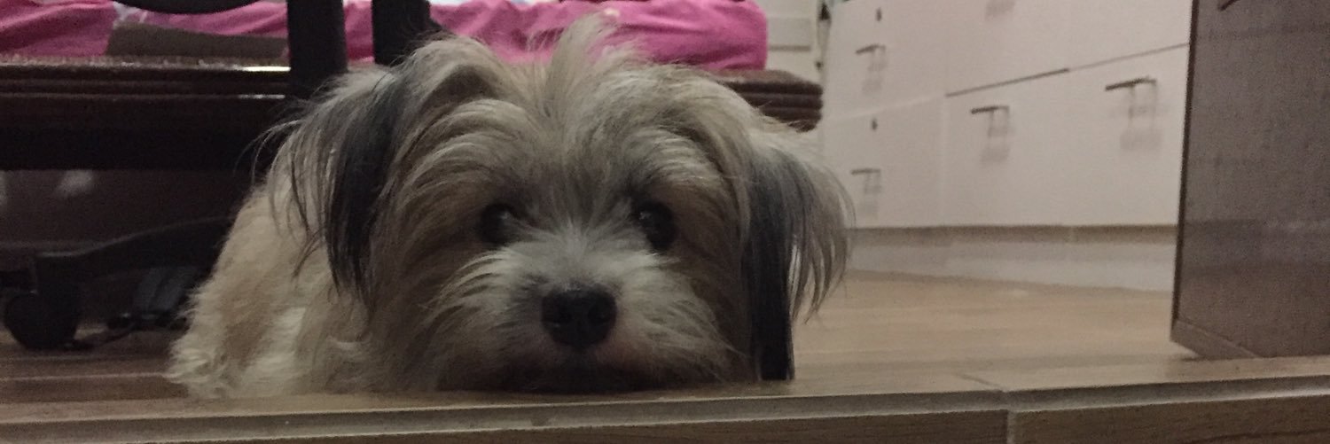 remmarklim's profile banner image