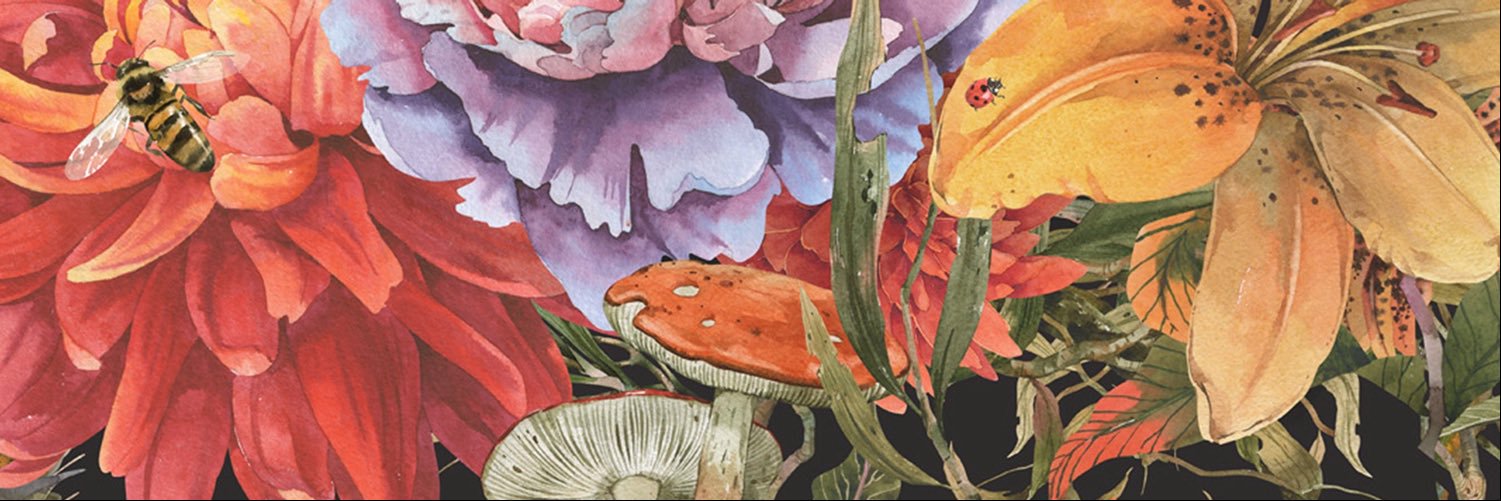 brncerendorter's profile banner image