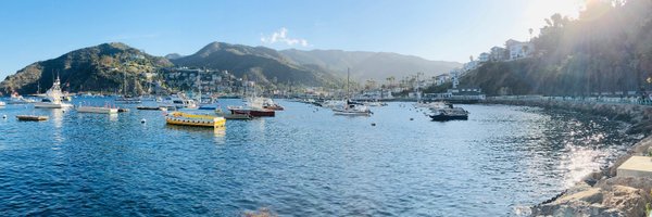 SharonShin92 Profile Banner