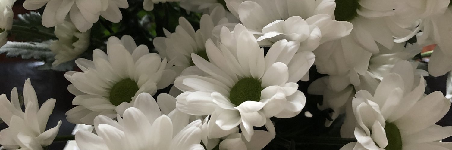 pinar2541's profile banner image