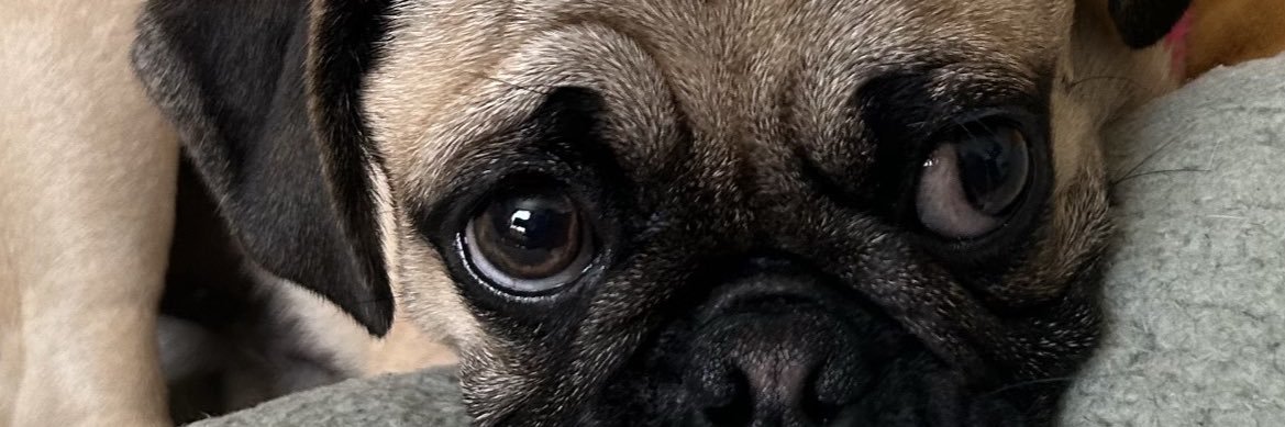 ale_nastyy's profile banner image
