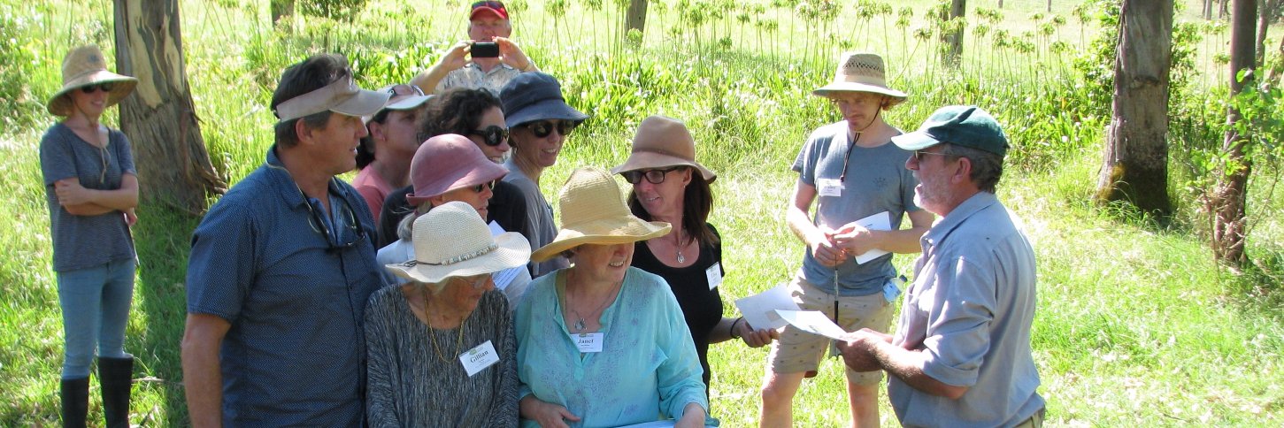 Holistic Management banner