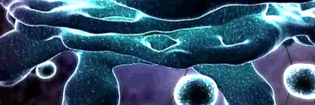 weGolgi's profile banner image