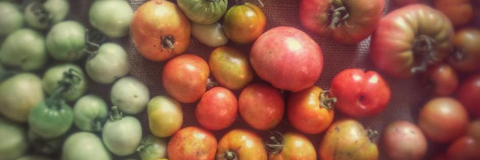 UGArdenClub's profile banner image