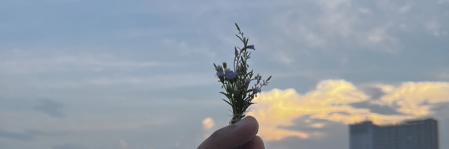 rizacholis's profile banner image