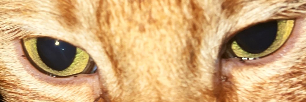 alantobanche's profile banner image