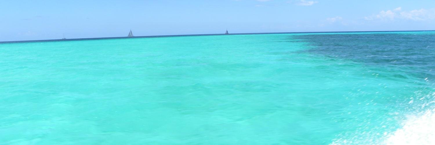 Lau_Glez_B's profile banner image