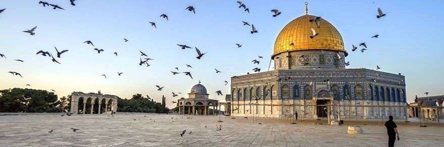 ŞeNoL🇹🇷🇵🇸 banner