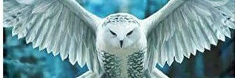 iPhoenixV1's profile banner image