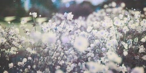 maidy27's profile banner image