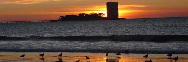 javicondeg's profile banner image