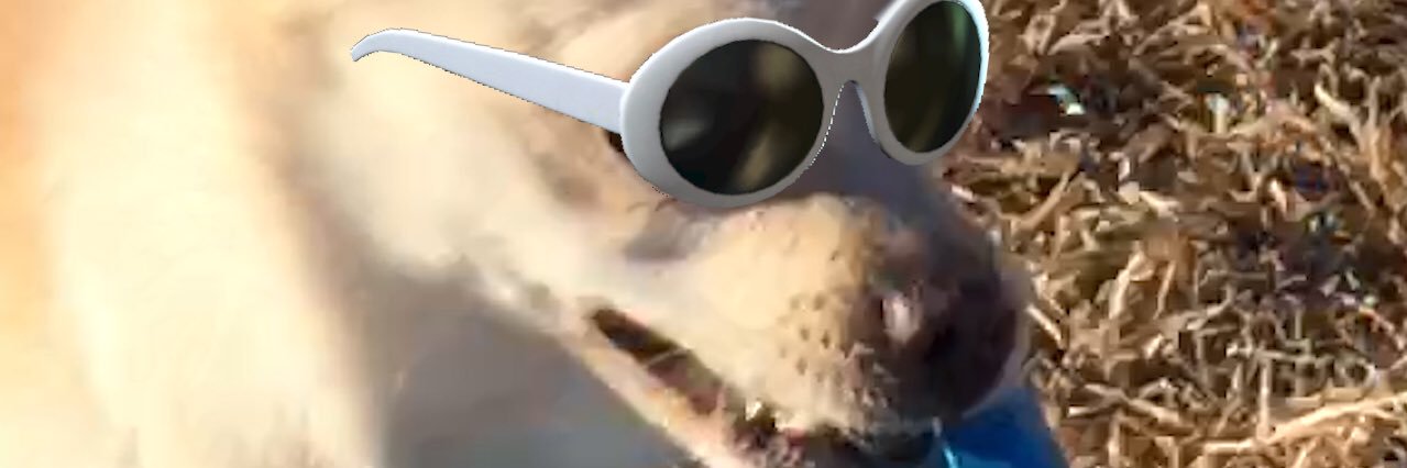 trilloccuh's profile banner image