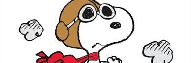 danielanvianna's profile banner image