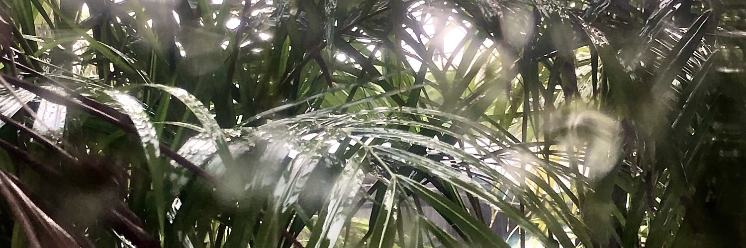 irachristele's profile banner image