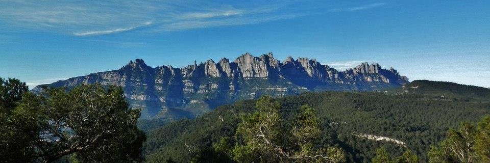 Olga Puigdellivol banner